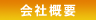 ЊTv