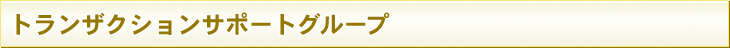 トランザクションサポートグループ